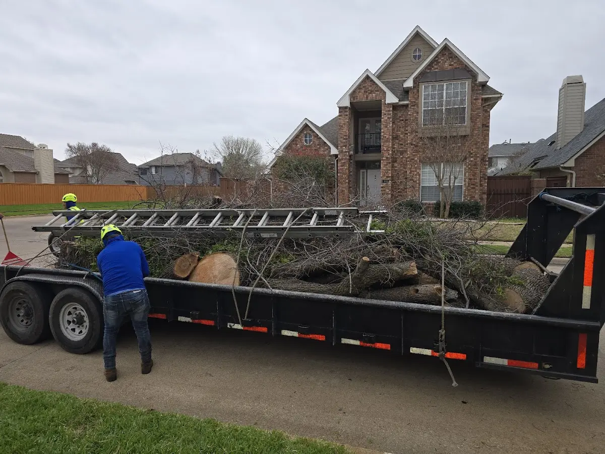 Expert Lot Clearing with proper safety equipment in Redfield